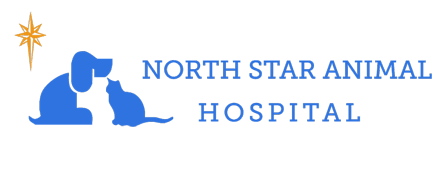 North Star Animal Hospital Inc