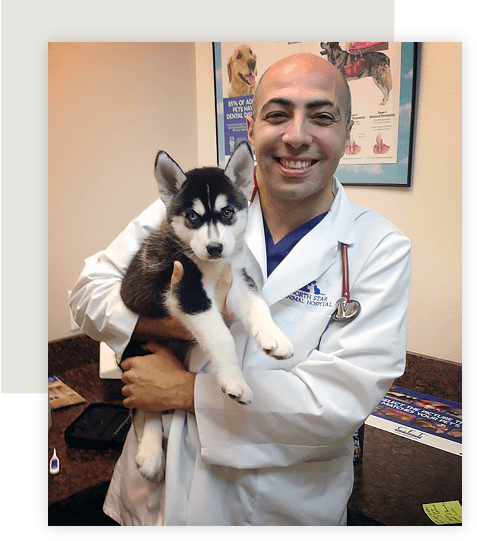 Our Veterinarians | North Star Animal Hospital