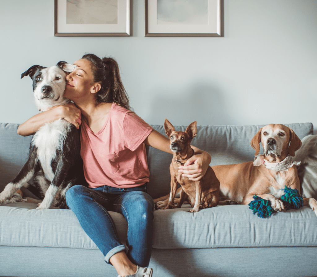 Three dogs sitting on a couch with lady in pink shirt kissing the tallest dog